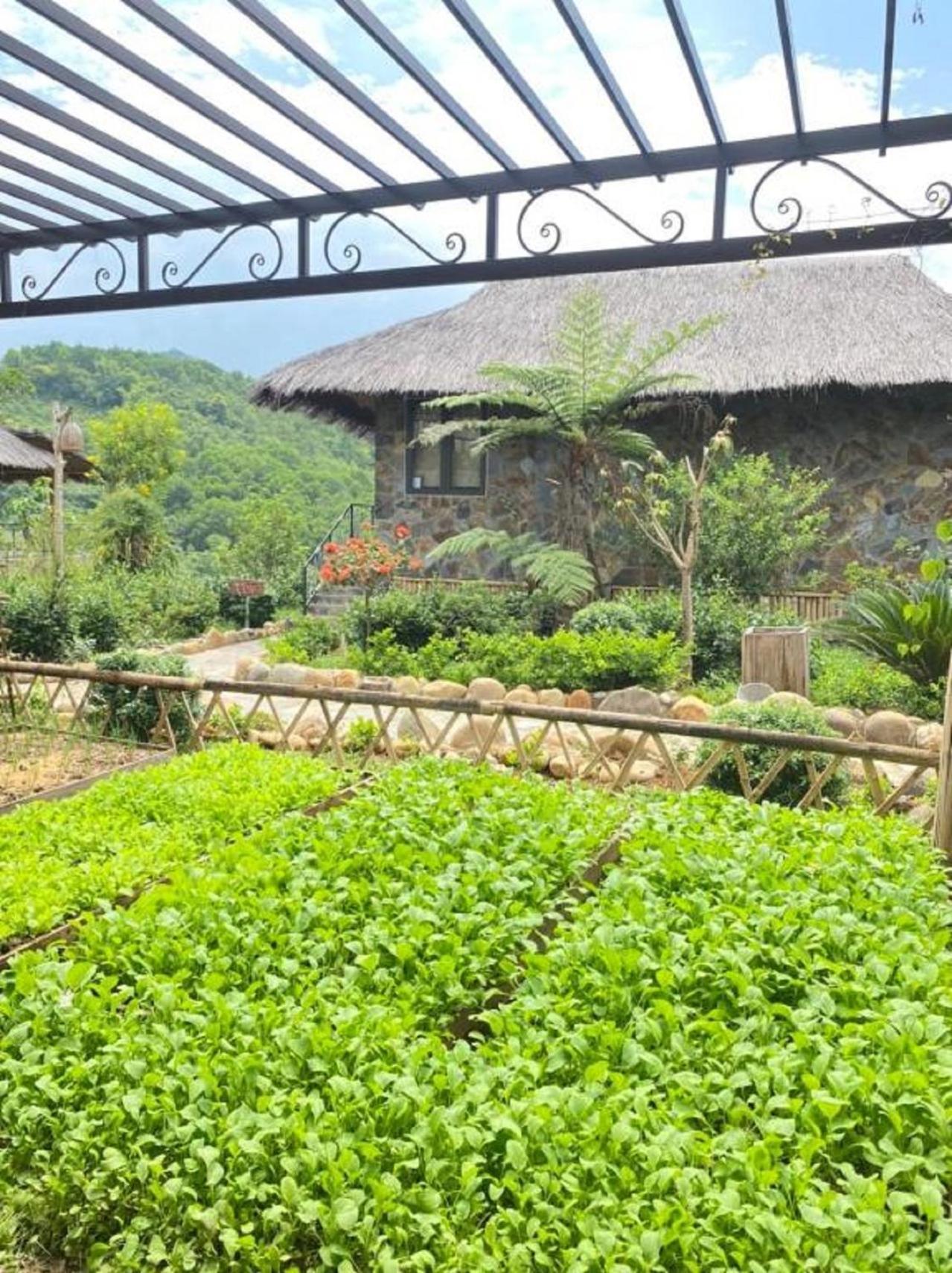 옌바이 Muong Lo Retreat Nghia Lo 빌라 외부 사진